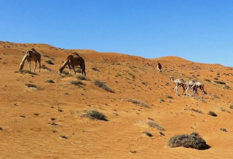 هتل Delight Desert Camp