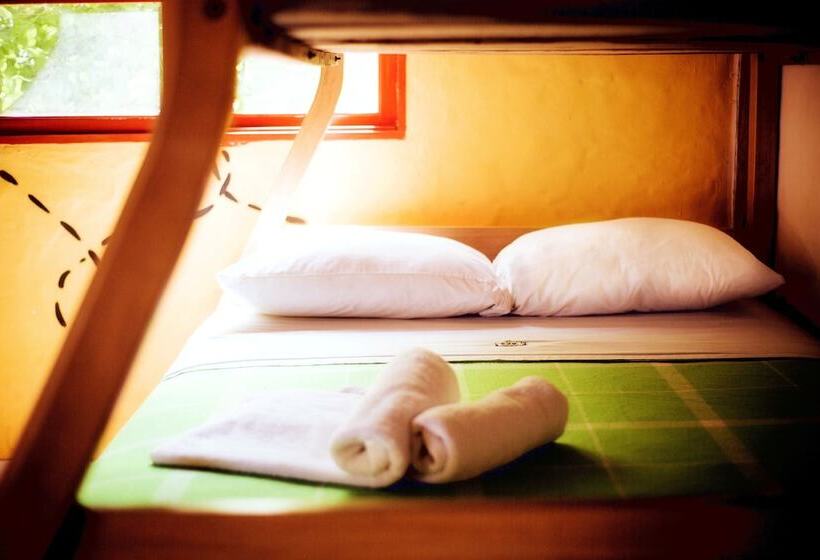 פנסיון Pop House Montañita