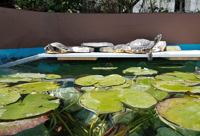 پانسیون Rooms Koblar