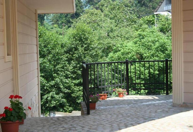 پانسیون Sv Hotel Batumi