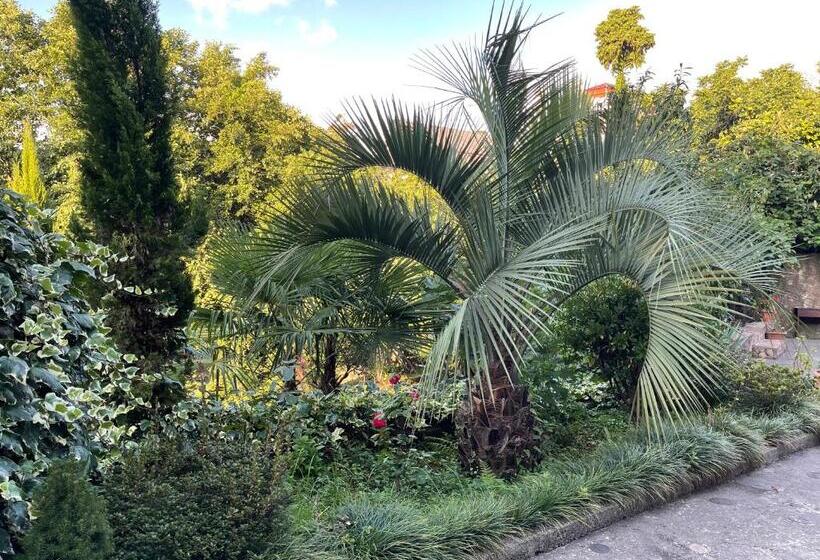 پانسیون Sv Hotel Batumi