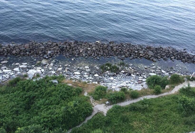 Stevns Klint Bed & Breakfast