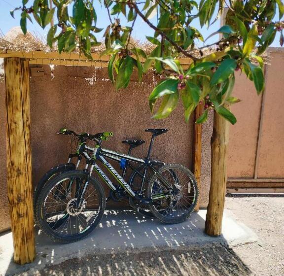 ベッドアンドブレックファースト La Casa De José