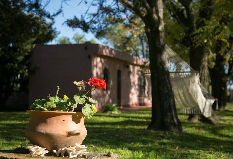 צימר Posada Don Salvador