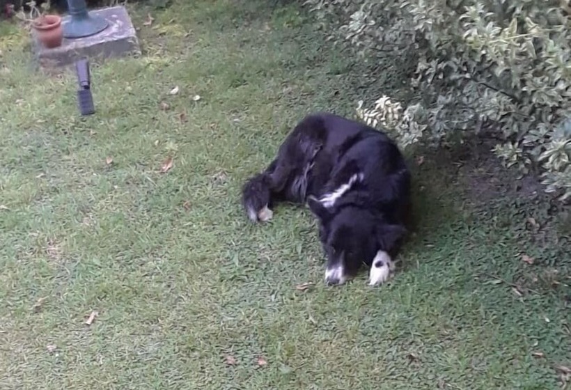 צימר Posada Don Salvador