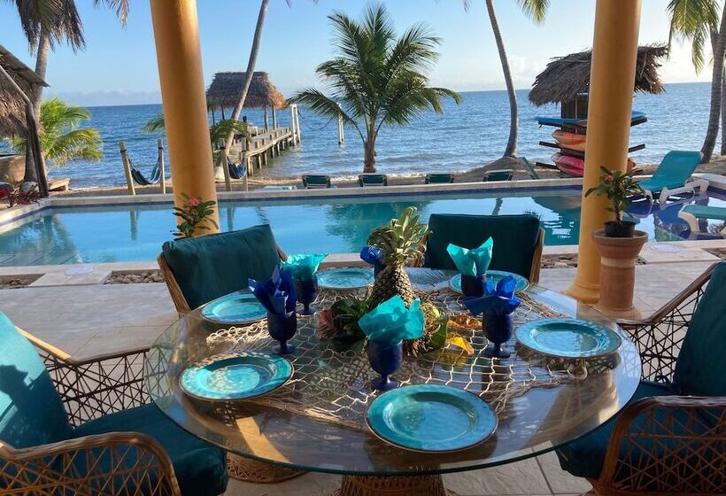 Blue Parrot Beach House