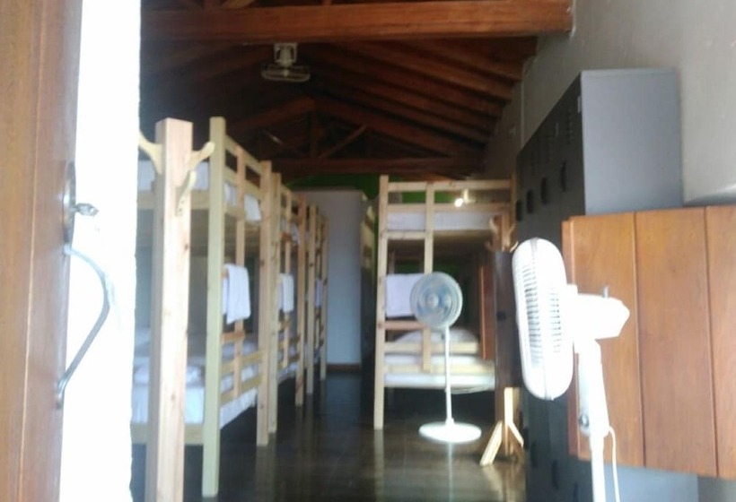 Green Nomads Hostel