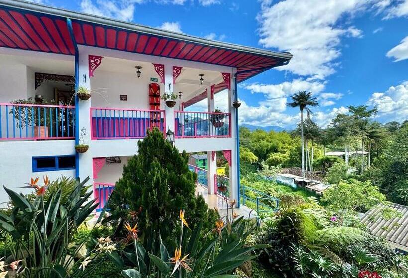 فندق فئة نجمة واحدة El Jardin