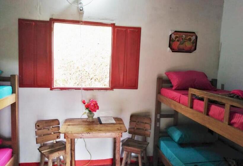 פונדק Finca San Rafael   Cafe Y Cacao