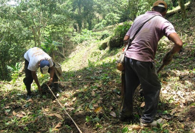 פונדק Finca San Rafael   Cafe Y Cacao