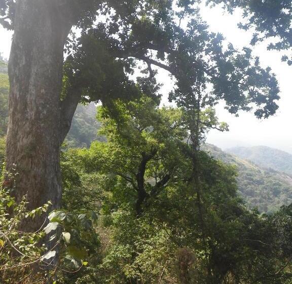 פונדק Finca San Rafael   Cafe Y Cacao