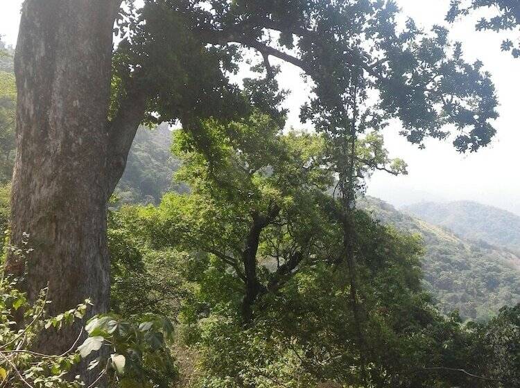 פונדק Finca San Rafael   Cafe Y Cacao