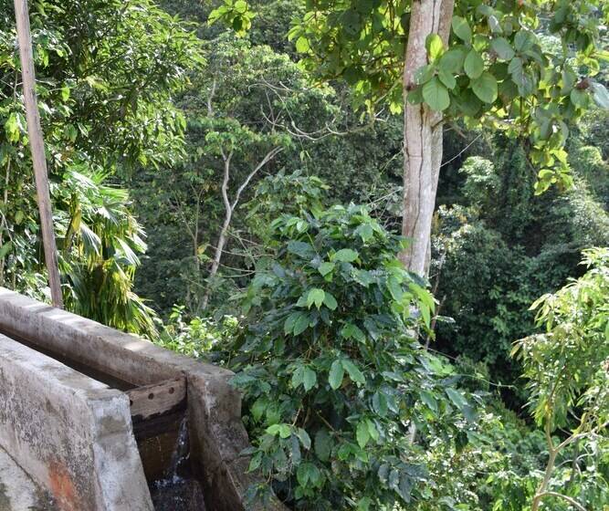 مسافرخانه Finca San Rafael   Cafe Y Cacao