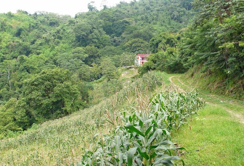 مسافرخانه Finca San Rafael   Cafe Y Cacao