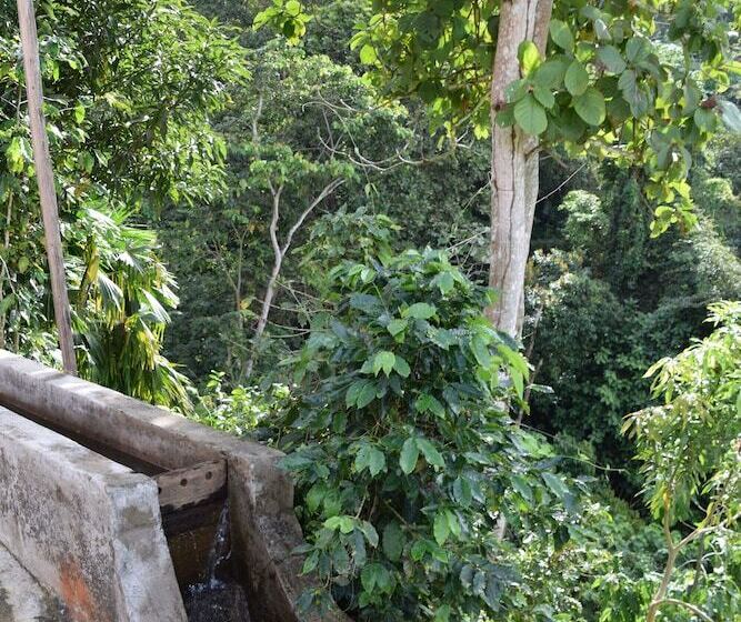 פונדק Finca San Rafael   Cafe Y Cacao