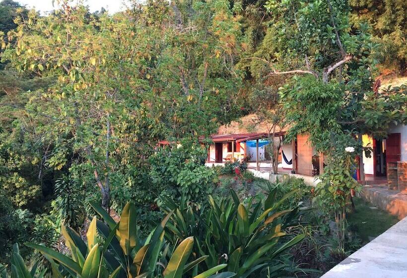 פונדק Finca San Rafael   Cafe Y Cacao