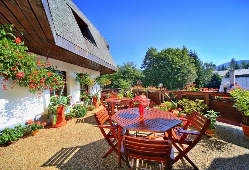 فندق David Wellness