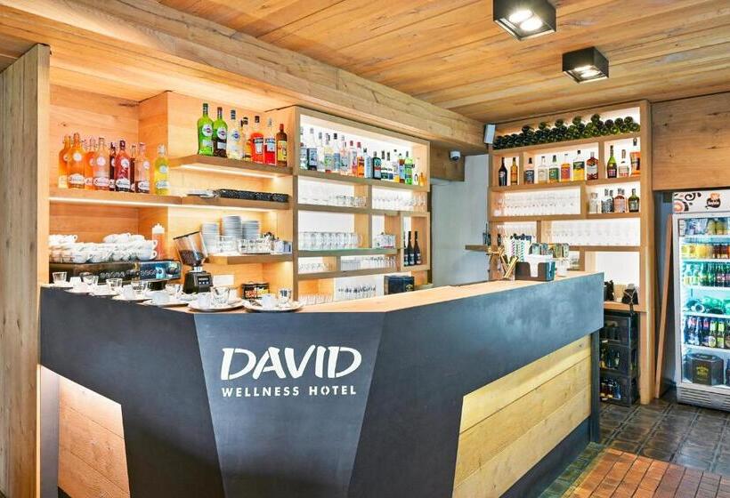 فندق David Wellness