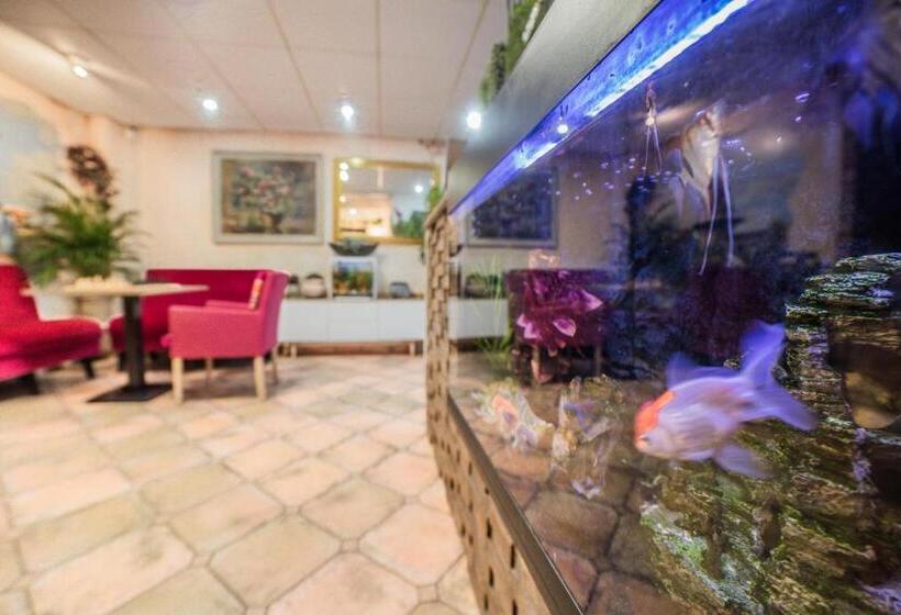 בית מלון כפרי Le Provencal