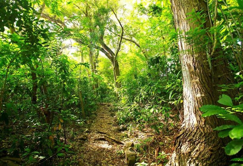 酒店 Pousada Do Vale