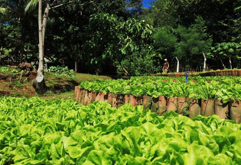 酒店 Pousada Do Vale