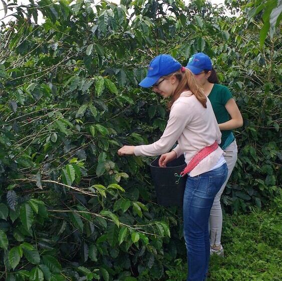 هتل روستایی Finca Agroturistica Alejandria