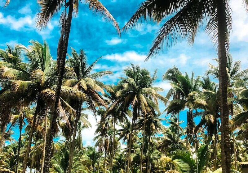 La Facha Hostel Restaurant Surf