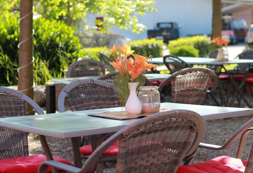 ペンション Gastehaus Am Wasserpark