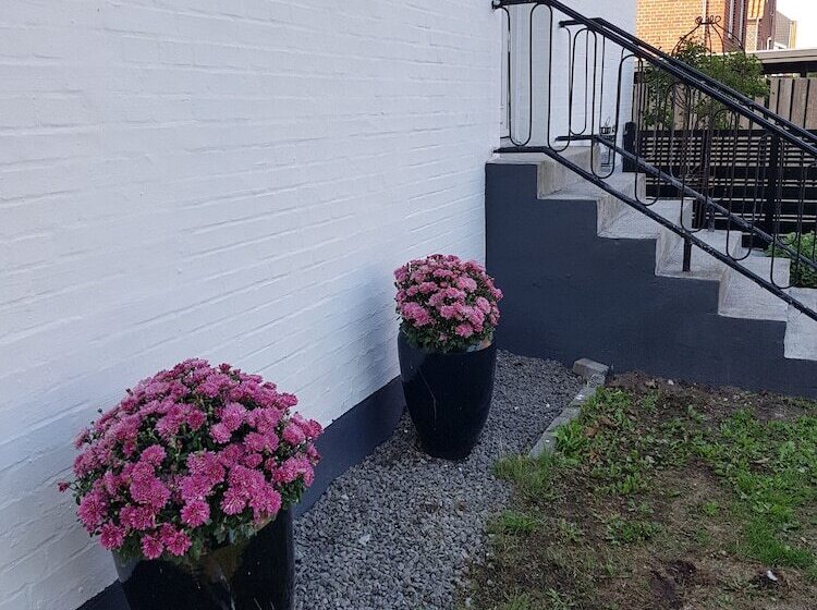 پانسیون Koege Guesthouse