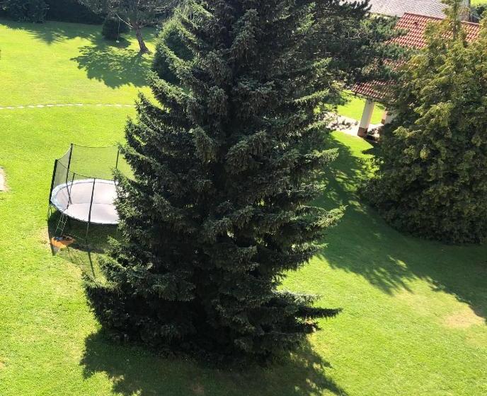 ペンション Slatina