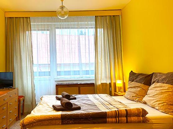 ペンション Slatina