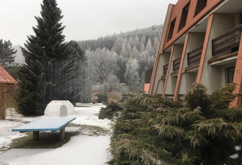 ペンション Slatina