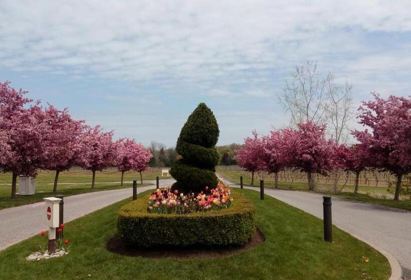 The White House Boutique B&b