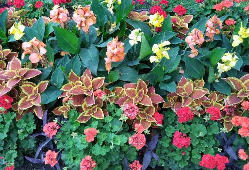 The White House Boutique B&b