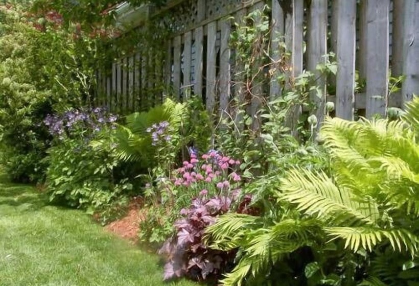 Antique Slumber Old Town Bed & Breakfast