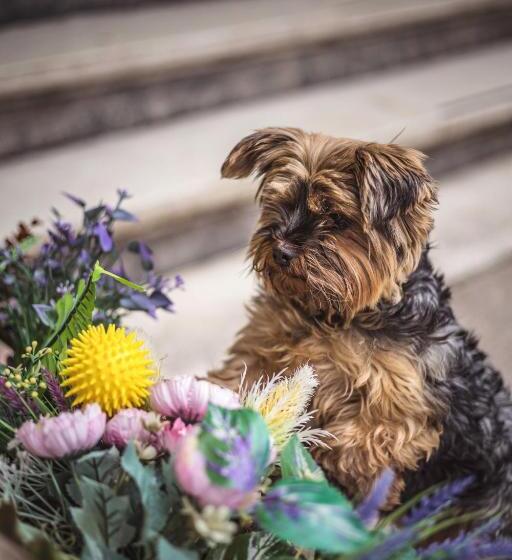 4 Couples & 4 Friends Hostel