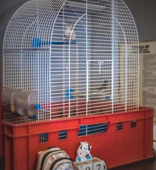 4 Couples & 4 Friends Hostel