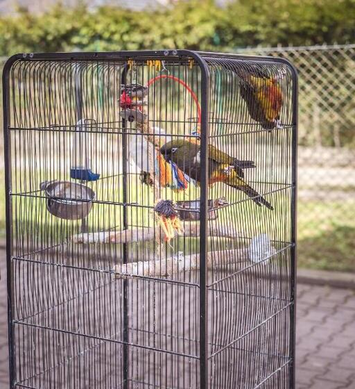 4 Couples & 4 Friends Hostel