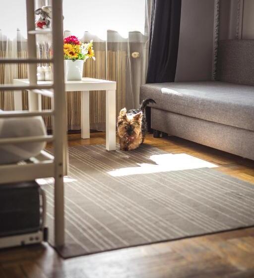 4 Couples & 4 Friends Hostel