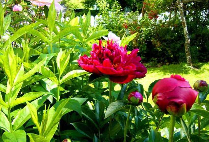 Glory Inn Downtown Bed & Breakfast