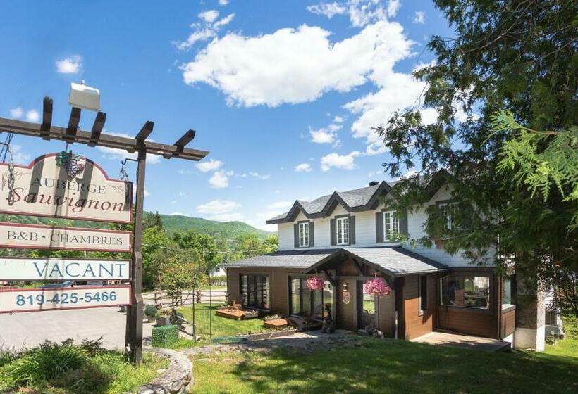 여관 Auberge Sauvignon