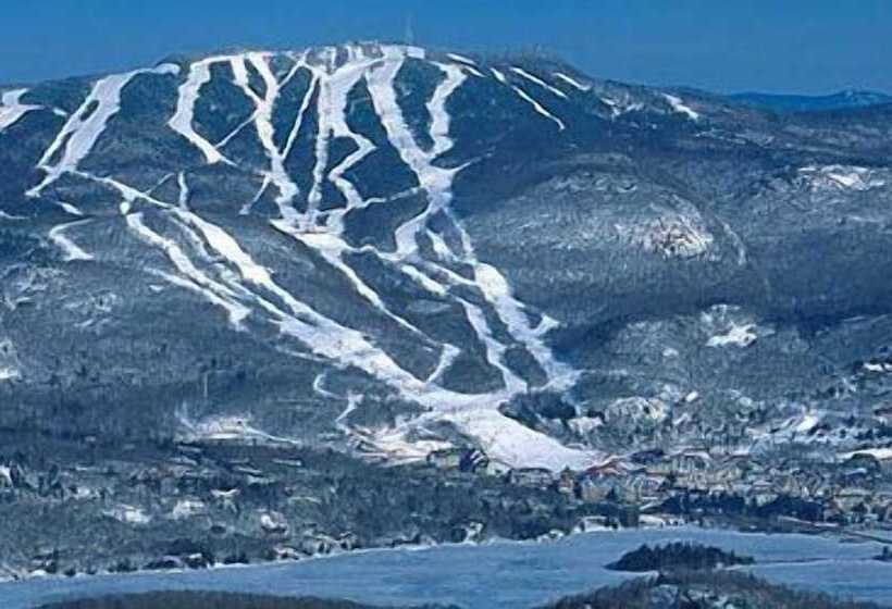 여관 Auberge Sauvignon