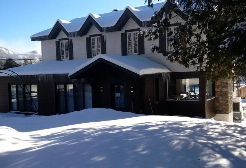 여관 Auberge Sauvignon