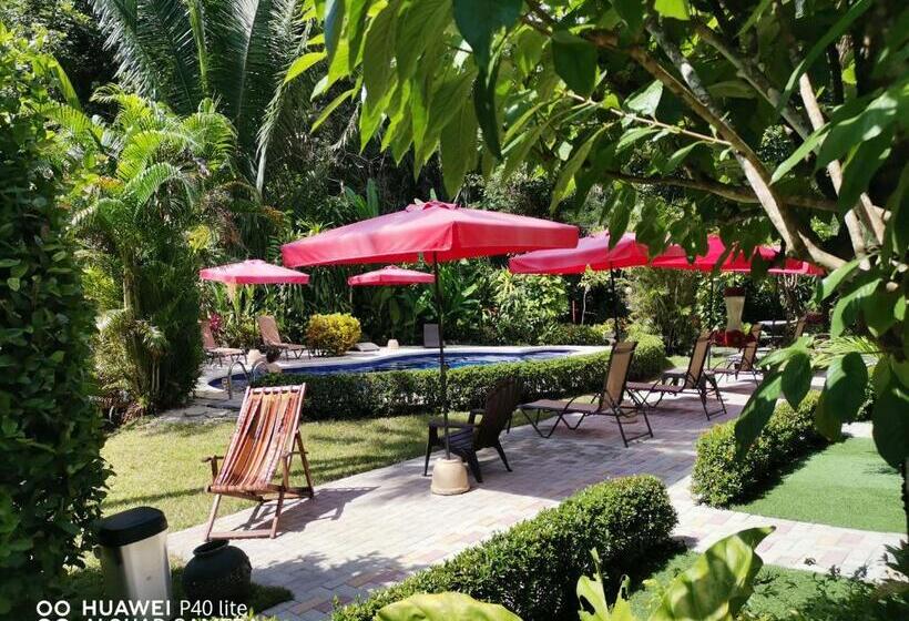 酒店 Belvedere Playa Samara Costa Rica