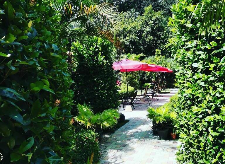 酒店 Belvedere Playa Samara Costa Rica