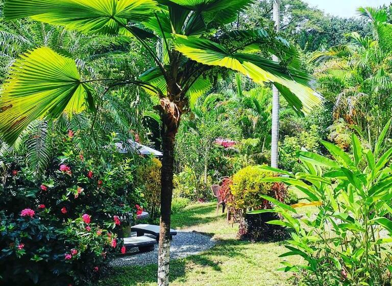 酒店 Belvedere Playa Samara Costa Rica