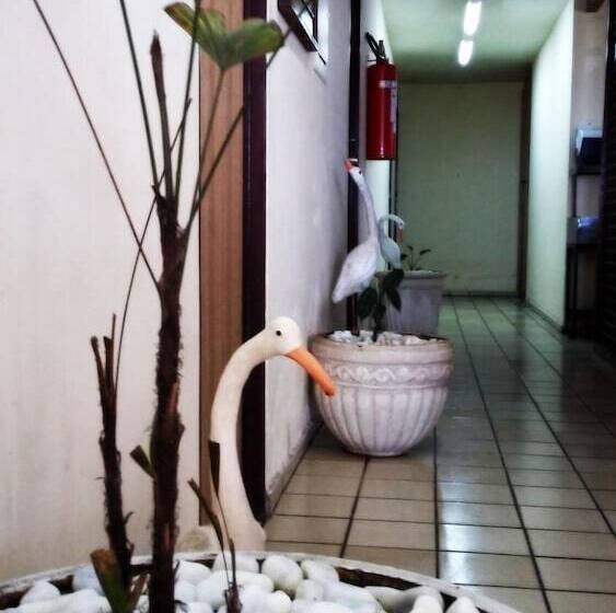 ホテル Escuna Praia