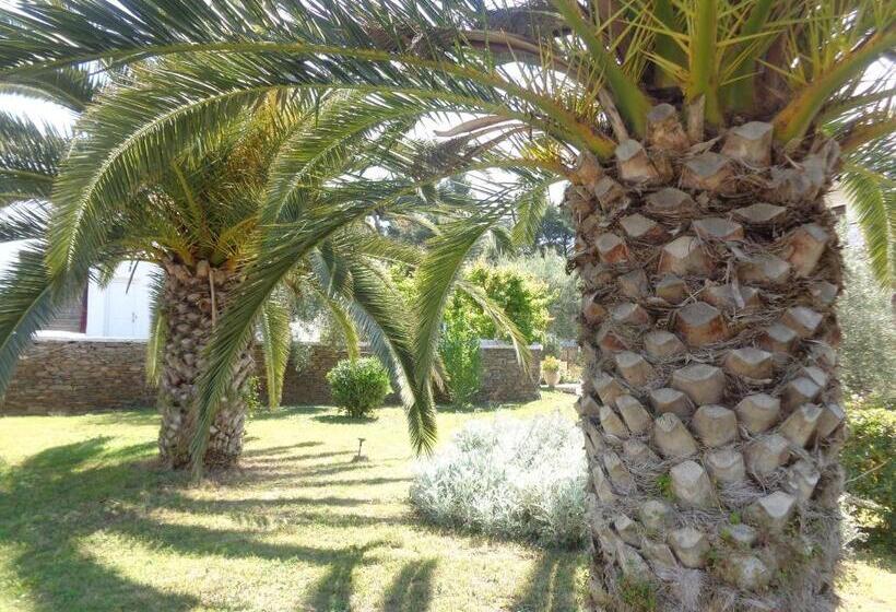 בית מלון כפרי Porto Matina