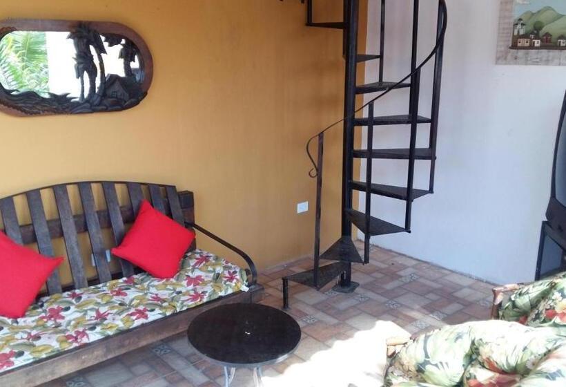 Pousada Casa Do Rio Hostel   8 Min Do Centro Hístorico   Passeio De Barco Com Saída Da Pousada  Pago