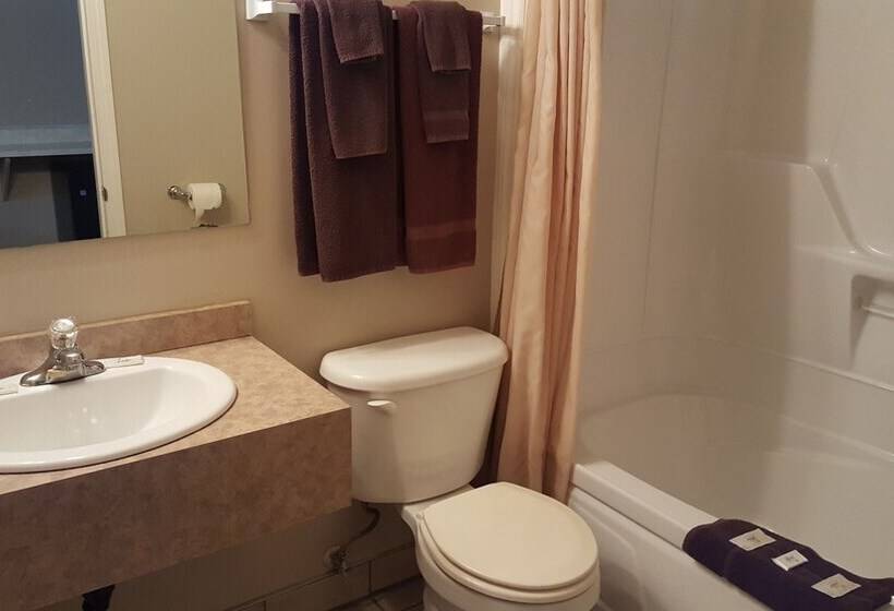 فندق على الطريق Aspen Motor Inn